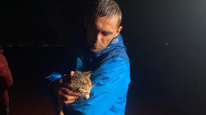 Kocaeli'de fırtınadan etkilenen kedi kurtarıldı