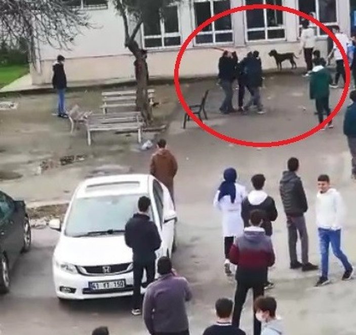 Kocaeli'de pitbull cinsi köpek 5 öğrenciyi yaraladı