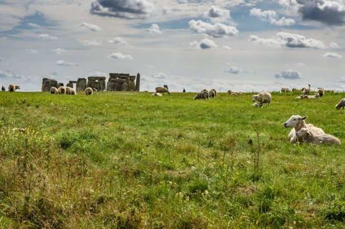 Stonehenge'i yapan işçilerin yediği zengin öğünler keşfedildi