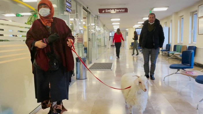 Ankara'da vergi borcunu yatırmaya keçisiyle gitti