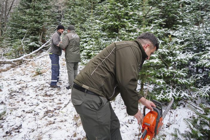 Ankara'da yılbaşı öncesi kaçak ağaç denetimi