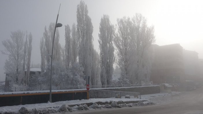 Ardahan'da soğuk havalar