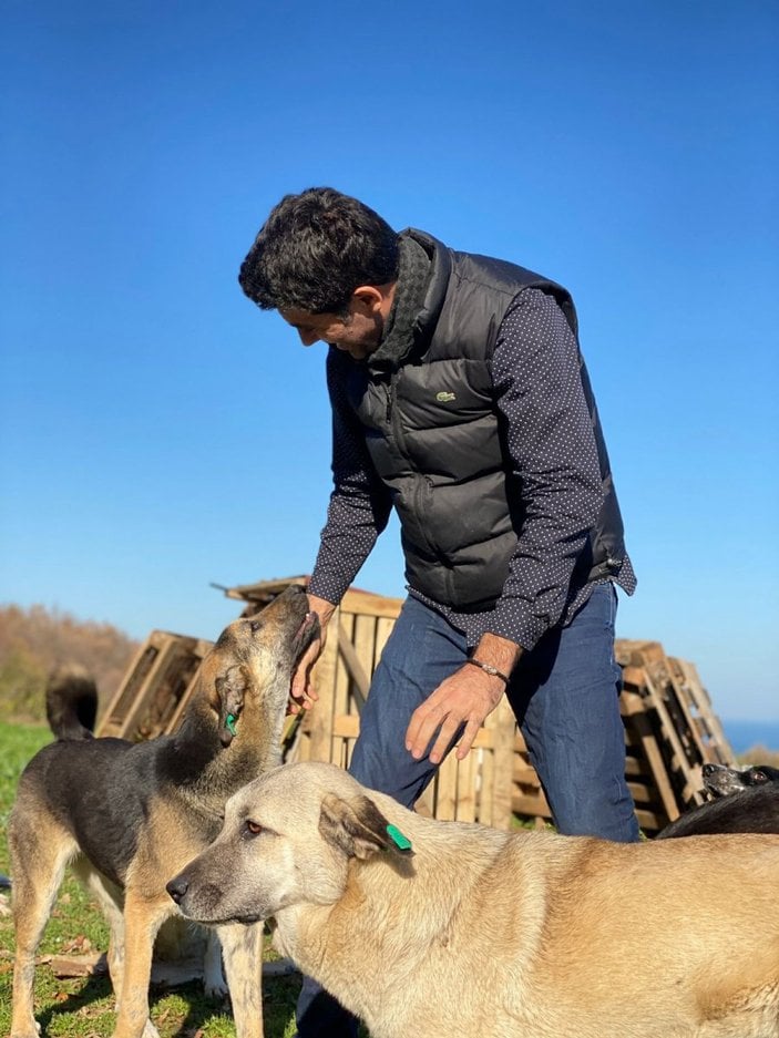 Samsun'da köpeği tekmeleyen hayvanları koruma derneği üyesi, istifa etti