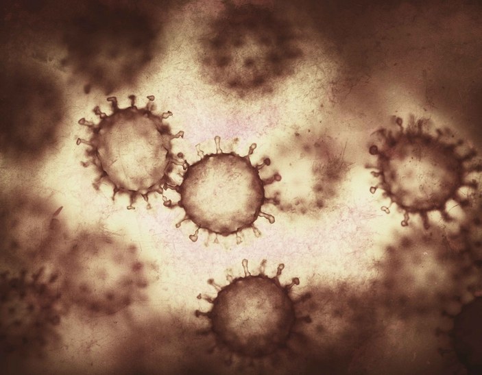 İnsanlarda en sık görülen 3 viral hastalık