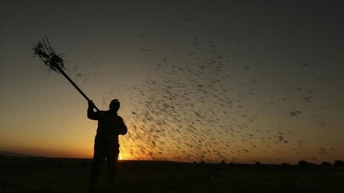 Bitkisel üretim desteklerinden yararlanma şartları belirlendi