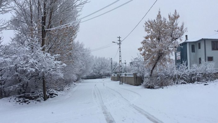 Karlıova'da kar, ilçeyi beyaza bürüdü