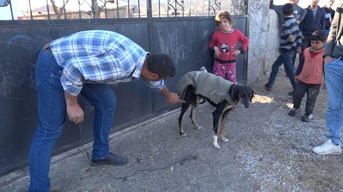 i Aksaray'da köpek yumurtaları yedi, tüfek, taş ve sopalar konuştu