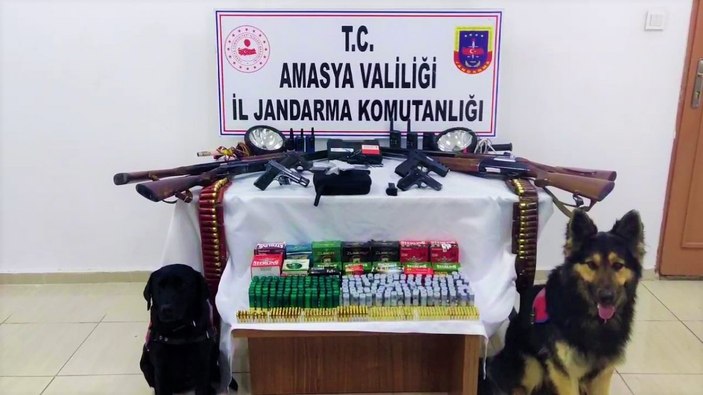 Amasya’da, ‘av tutkunu’ şahsın evinde çok sayıda silah bulundu