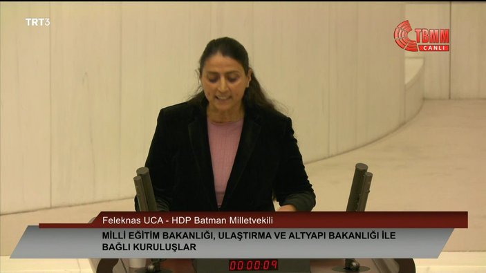 HDP'li Feleknas Uca TBMM kürsüsünde Almanca ve Kürtçe konuştu