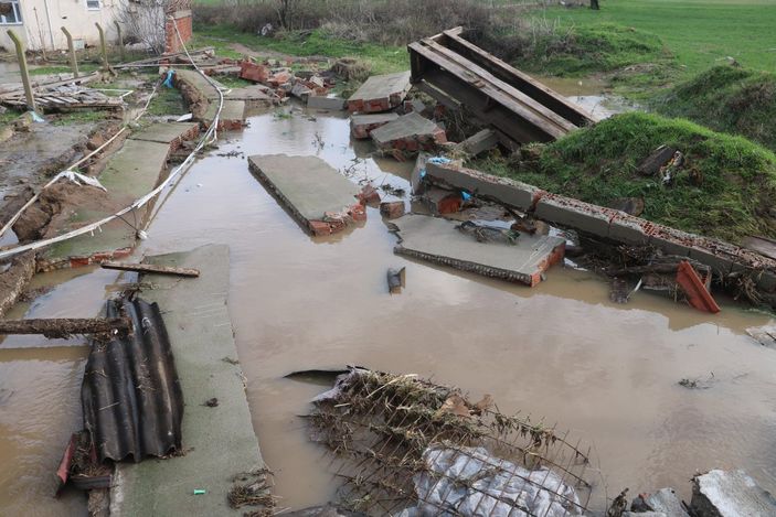 i Edirne'de hayvanlar telef oldu