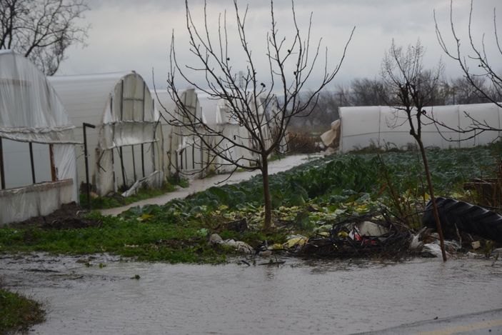 i Çanakkale'de şiddetli yağış seraları etkiledi