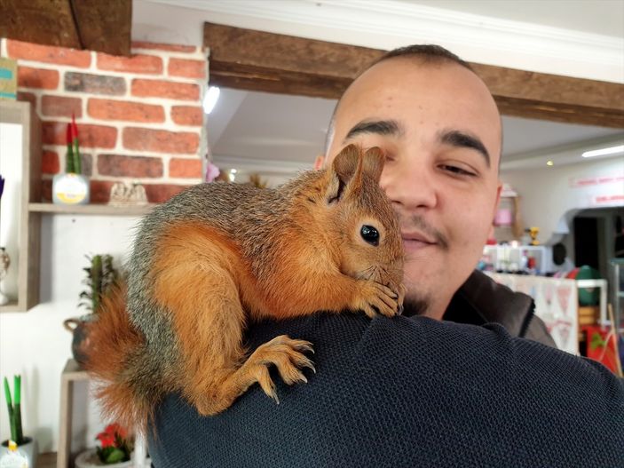 A Osmaniye'de sincap yavrusunu yanından ayırmıyor