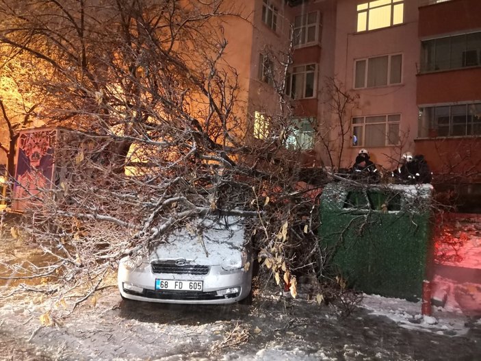 Aksaray’da ağaç, otomobillerin üzerine devrildi