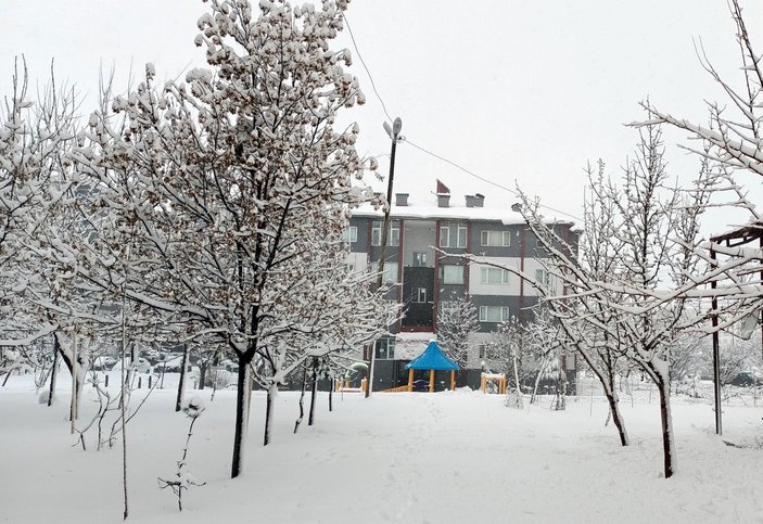 Bitlis ve Sivas'taki köy yollarına kar engeli