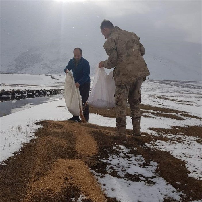 Mehmetçik ve doğa koruma görevlileri doğaya yem bıraktı