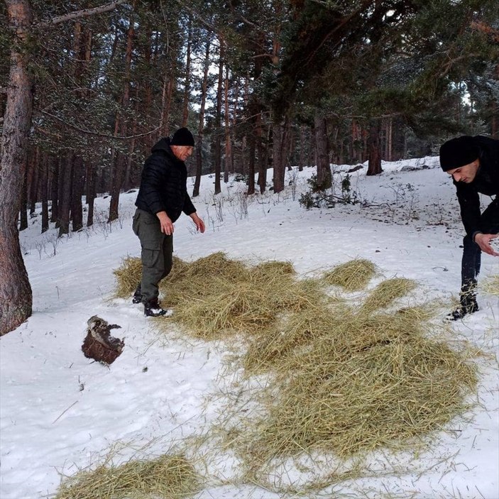 Mehmetçik ve doğa koruma görevlileri doğaya yem bıraktı