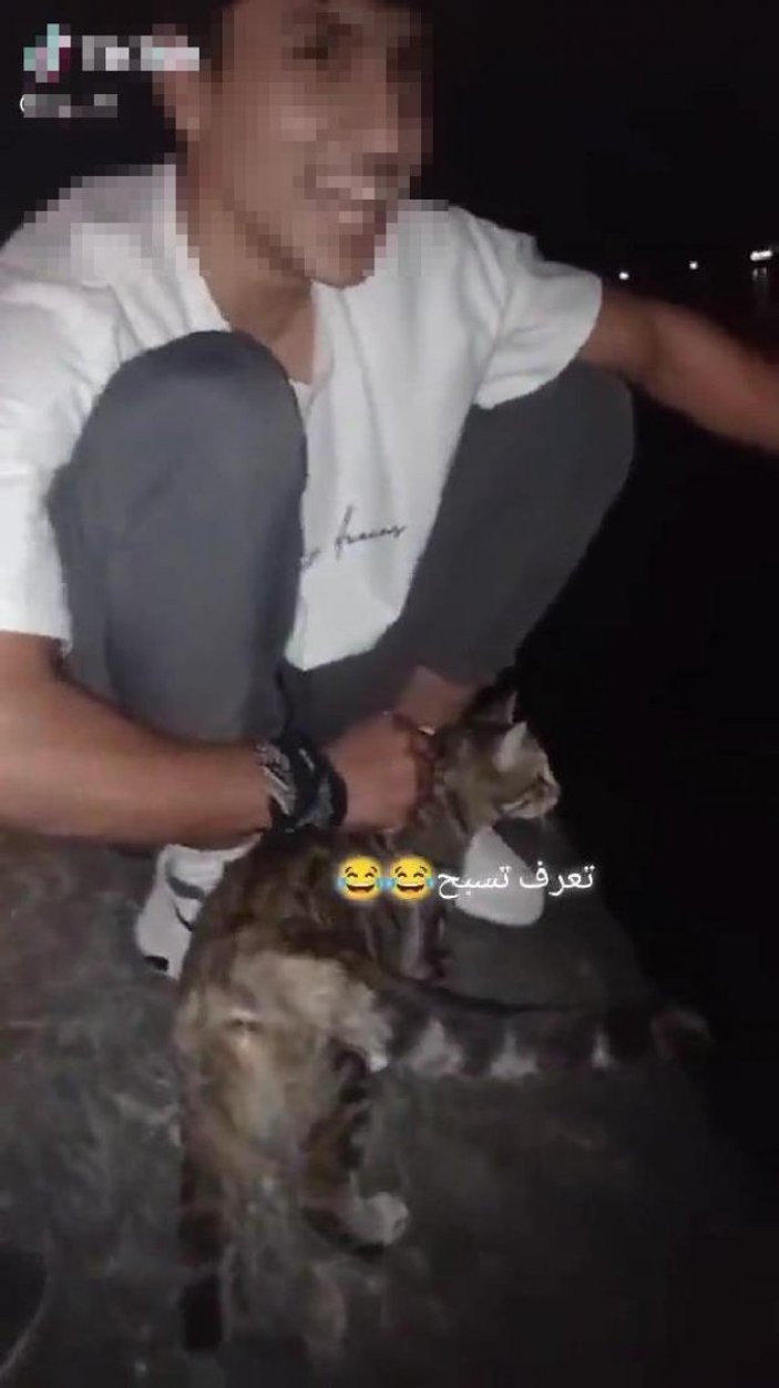 Sakarya’da, kediyi göle atıp video çekenler yakalandı