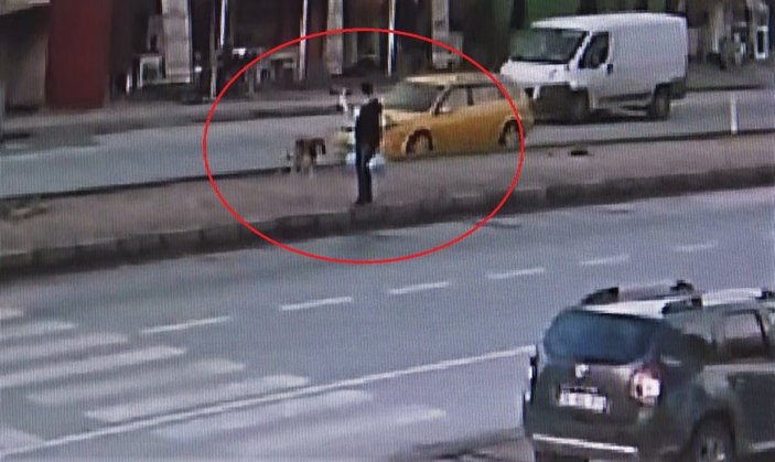 Mersin’de taksi köpeğe çarpıp kaçtı
