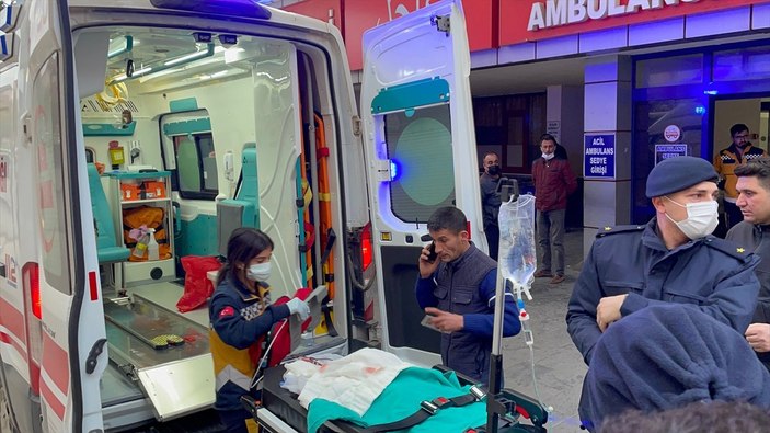 Gaziantep'te iki pitbull 4 yaşındaki kıza saldırdı