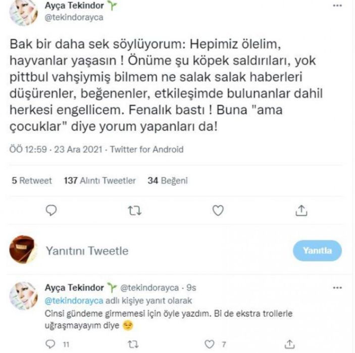 Şarkıcı Ayça Tekindor: Hepimiz ölelim, hayvanlar yaşasın