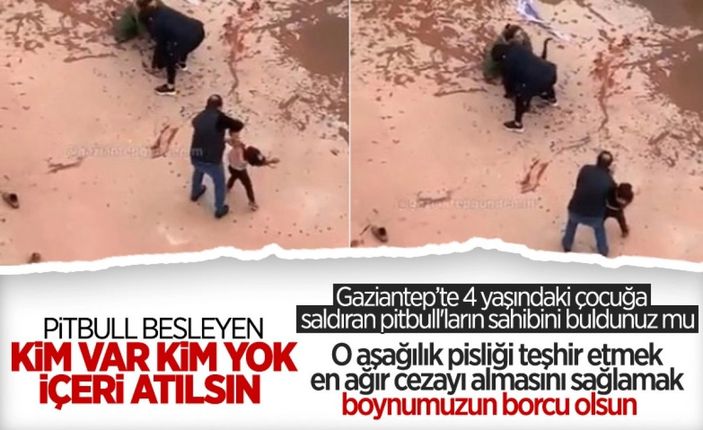 Cumhurbaşkanı Erdoğan'dan belediyelere sokak köpeği talimatı