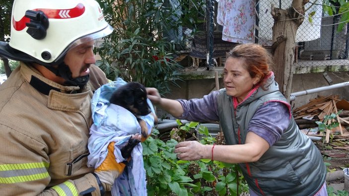 Kartal’da yanan evdeki köpek ve kediler son anda kurtarıldı