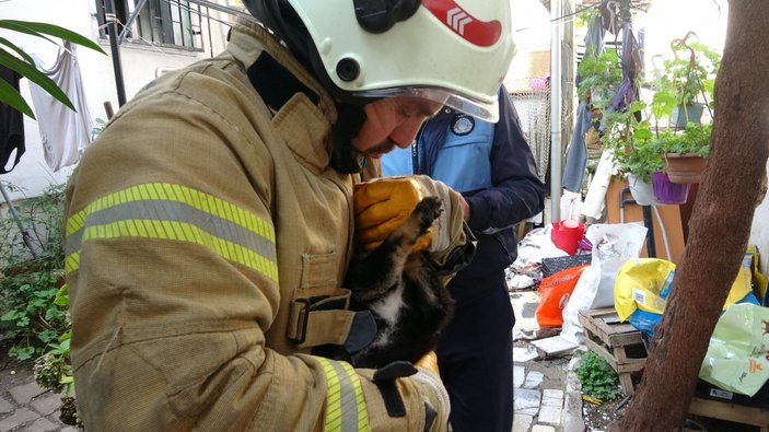 Kartal’da yanan evdeki köpek ve kediler son anda kurtarıldı