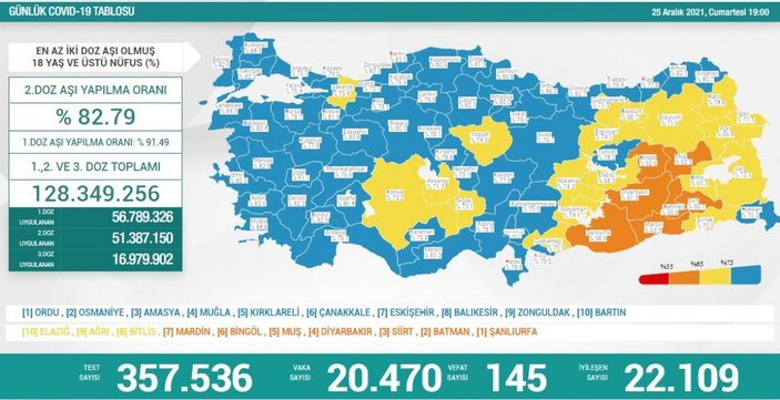25 Aralık Türkiye'de koronavirüs tablosu