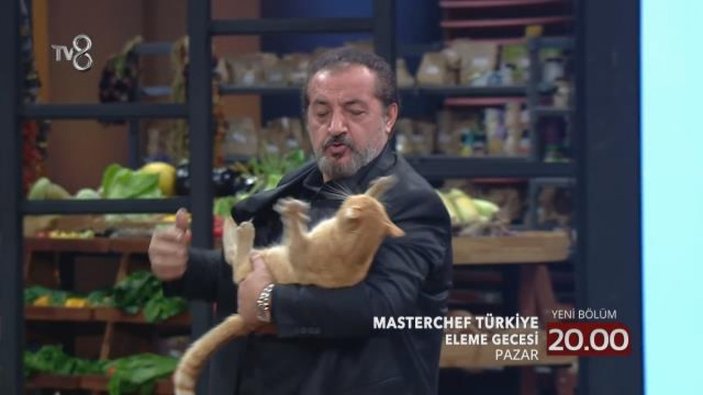 'Kurban olurum' diye severken Mehmet Şef'e kedi saldırdı