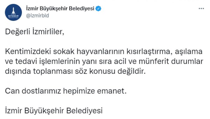 İzmir Büyükşehir Belediyesi: Sokak hayvanlarını toplamamız söz konusu değildir