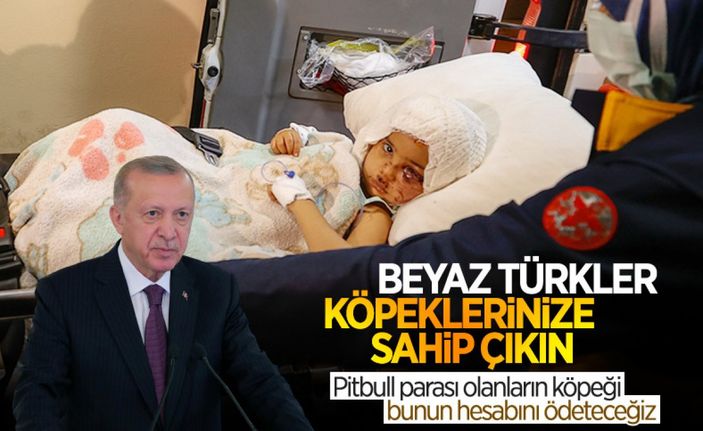 Gaziantep'te pitbull köpeklerin saldırdığı Asiye'nin babası, işinden ve evinden oldu