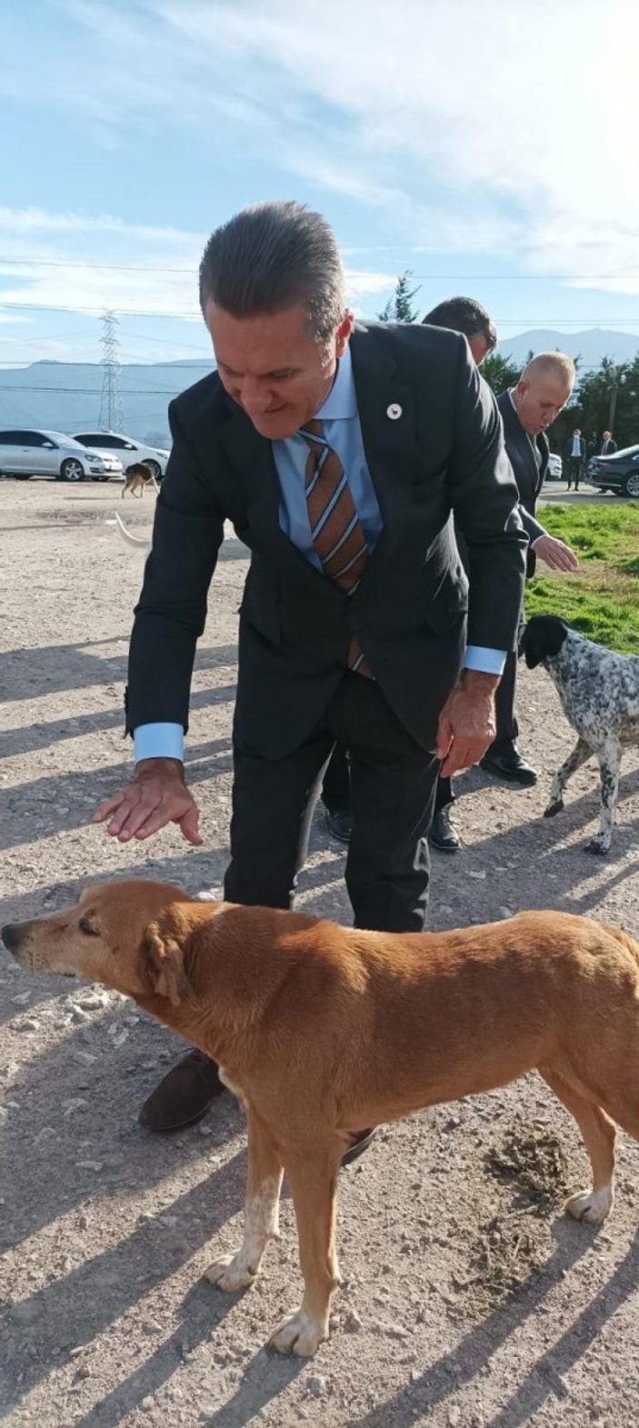 Mustafa Sarıgül’ün, sokak hayvanları açıklaması: Kısırlaştıralım yerinde yaşatalım