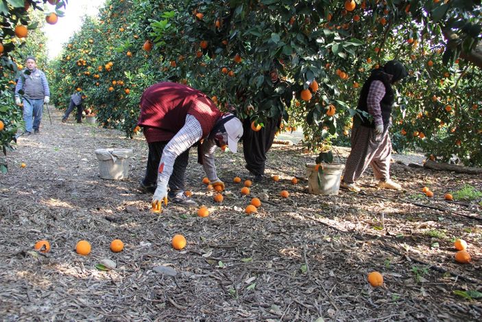 Mersin'de üreticiler indirim bekliyor