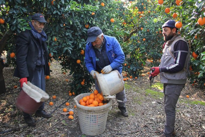 Mersin'de üreticiler indirim bekliyor