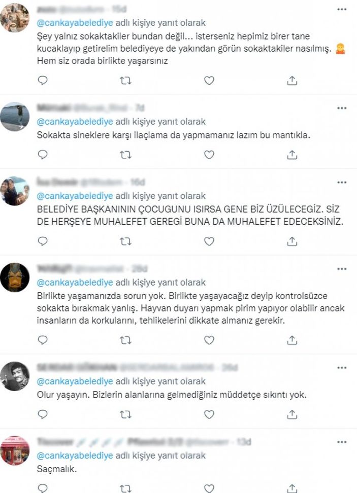 CHP'li belediyelerin sokak köpeklerine desteğine tepki