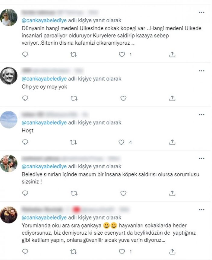 CHP'li belediyelerin sokak köpeklerine desteğine tepki