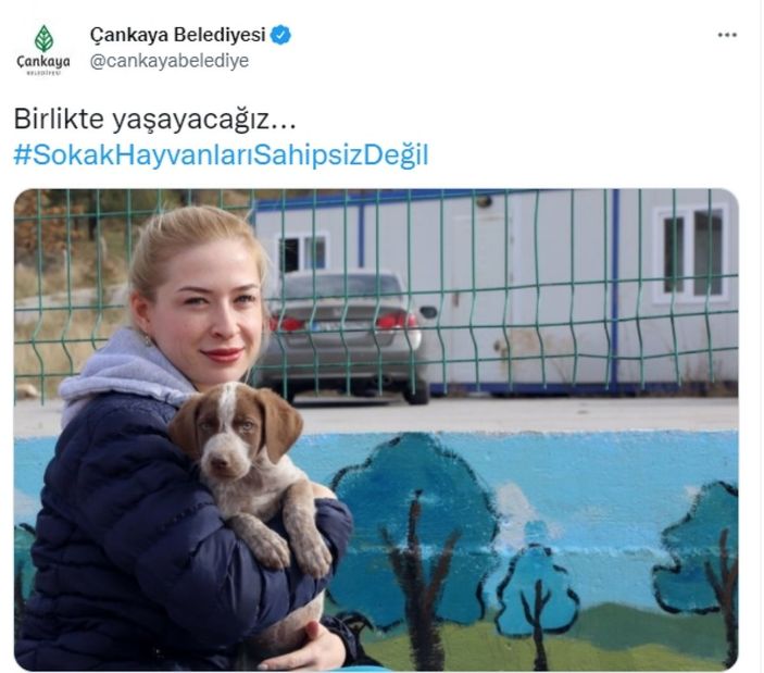 CHP'li belediyelerin sokak köpeklerine desteğine tepki