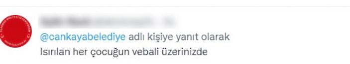CHP'li belediyelerin sokak köpeklerine desteğine tepki