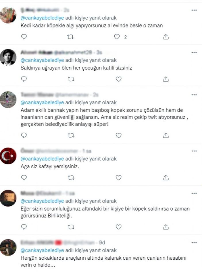CHP'li belediyelerin sokak köpeklerine desteğine tepki