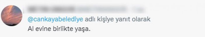CHP'li belediyelerin sokak köpeklerine desteğine tepki
