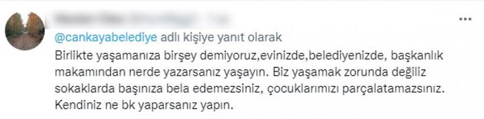 CHP'li belediyelerin sokak köpeklerine desteğine tepki