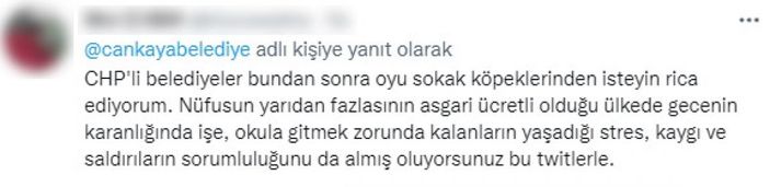 CHP'li belediyelerin sokak köpeklerine desteğine tepki