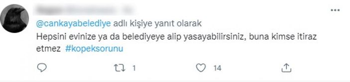 CHP'li belediyelerin sokak köpeklerine desteğine tepki