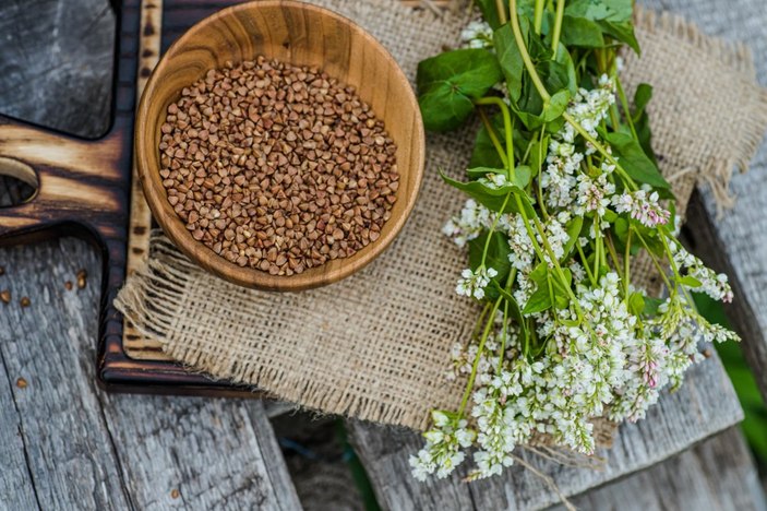 En çok protein içeren 9 bitkisel gıda