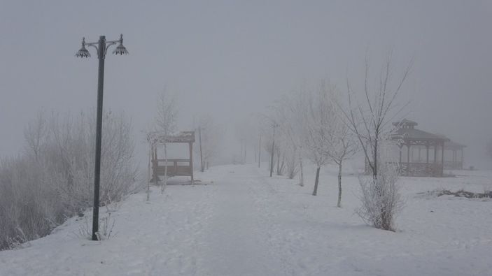 Ağrı ve Ardahan buz tuttu