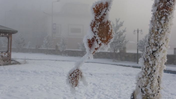 Ağrı ve Ardahan buz tuttu