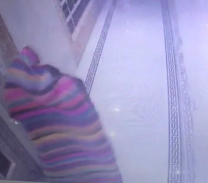 Şanlıurfa'da kameradan kaçan hırsız, kendini kilime sardı