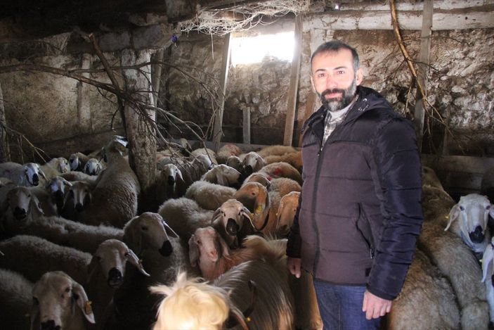 Sivas'ta Kangal köpeği, yavru kuzuyu emziriyor