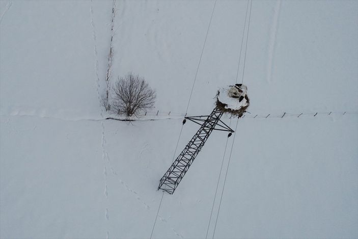 a Hakkari'de göç etmeyen leyleklere köylüler sahip çıktı