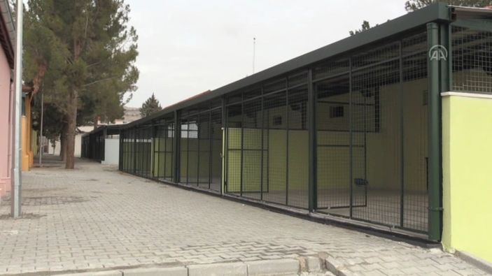 Gaziantep'teki 5 bin hayvan kapasiteli barınak, 2 ay sonra hizmete hazır